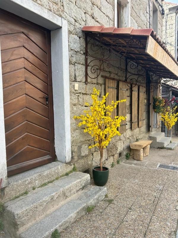 Tres Beau Studio Avec Terrasse Zonza Exterior photo
